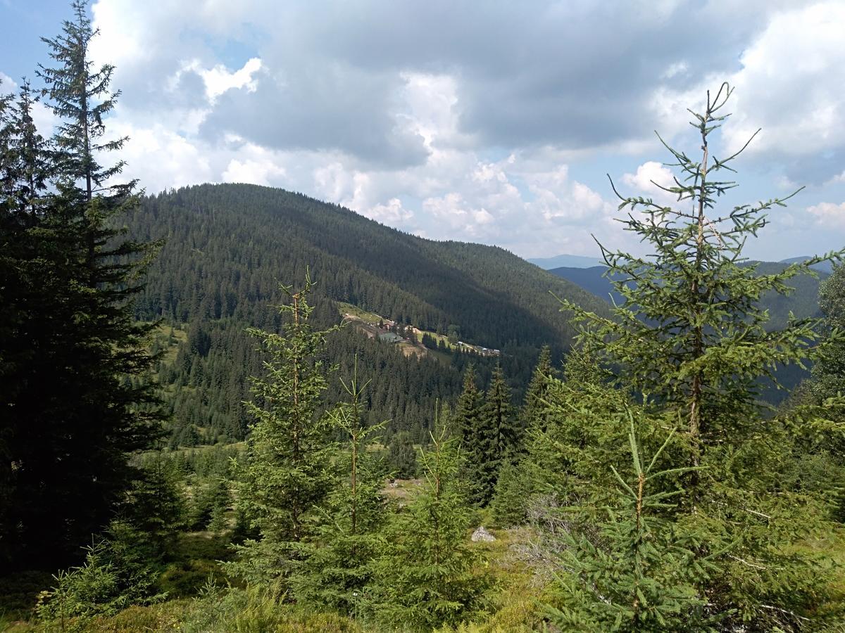 Котедж "Барвінок" Verkhovyna Exterior photo