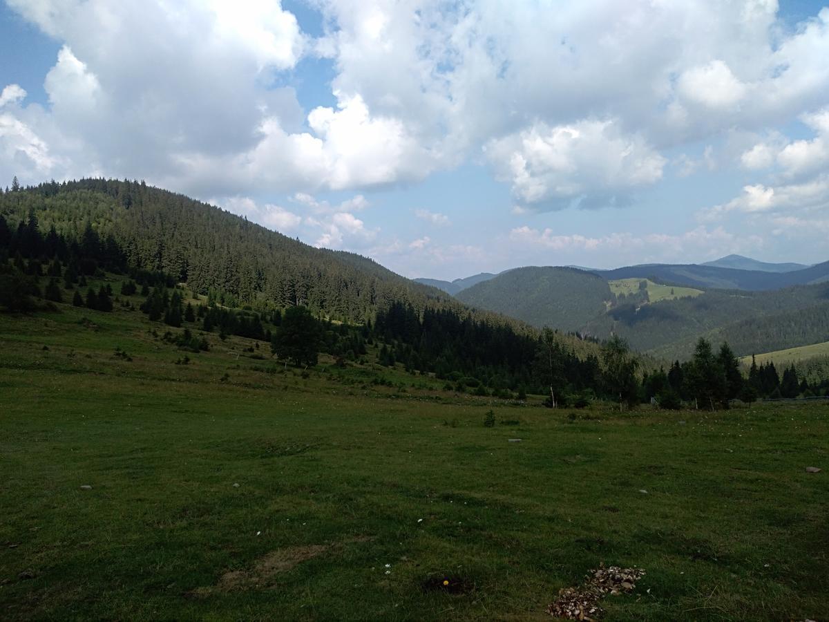 Котедж "Барвінок" Verkhovyna Exterior photo
